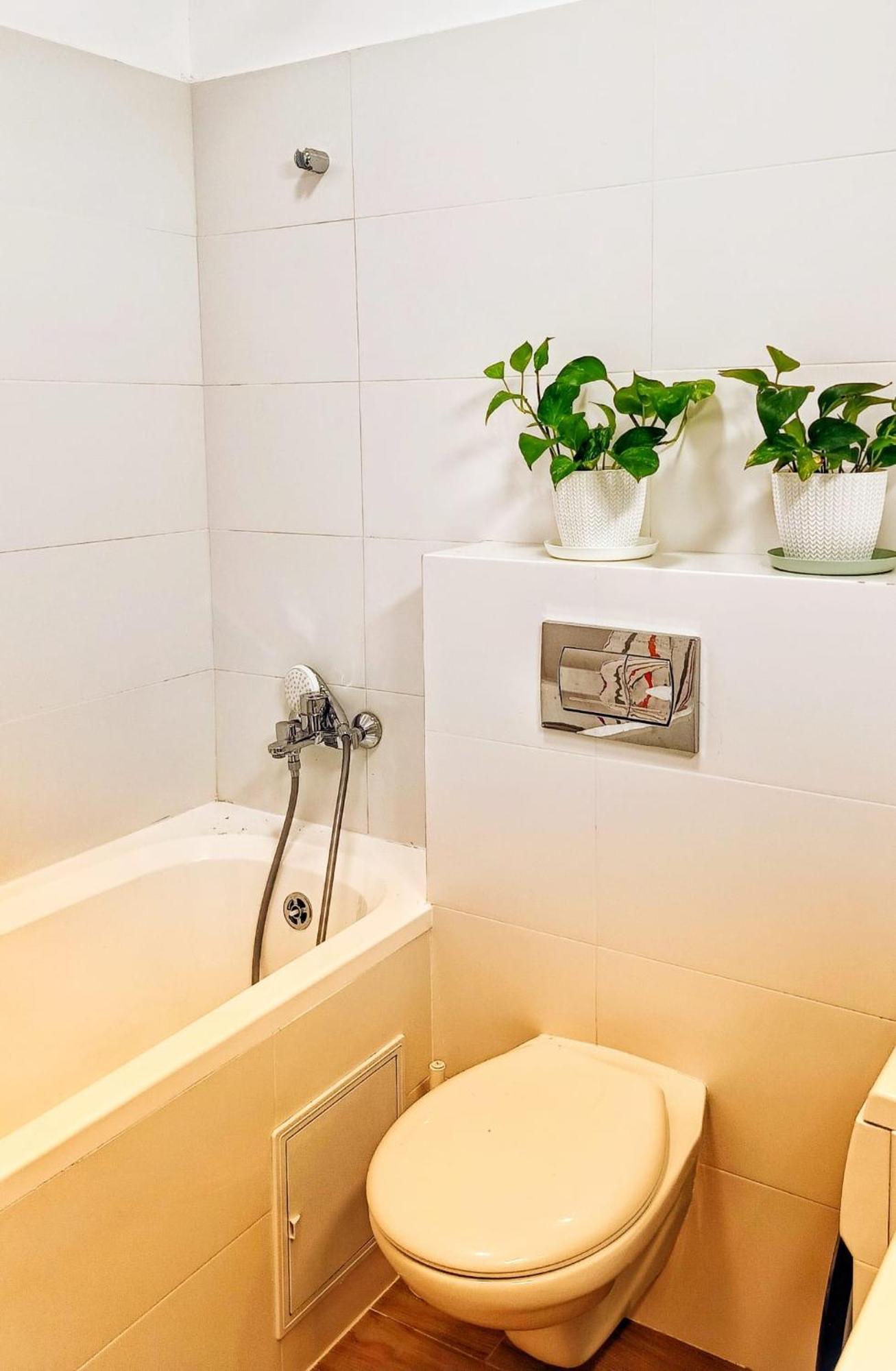 Apartament Sema White *